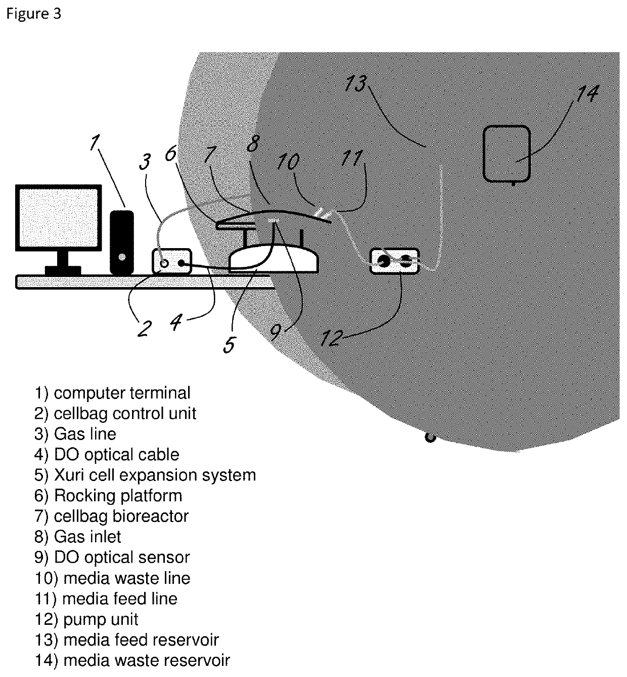 Method and system for suspension culture