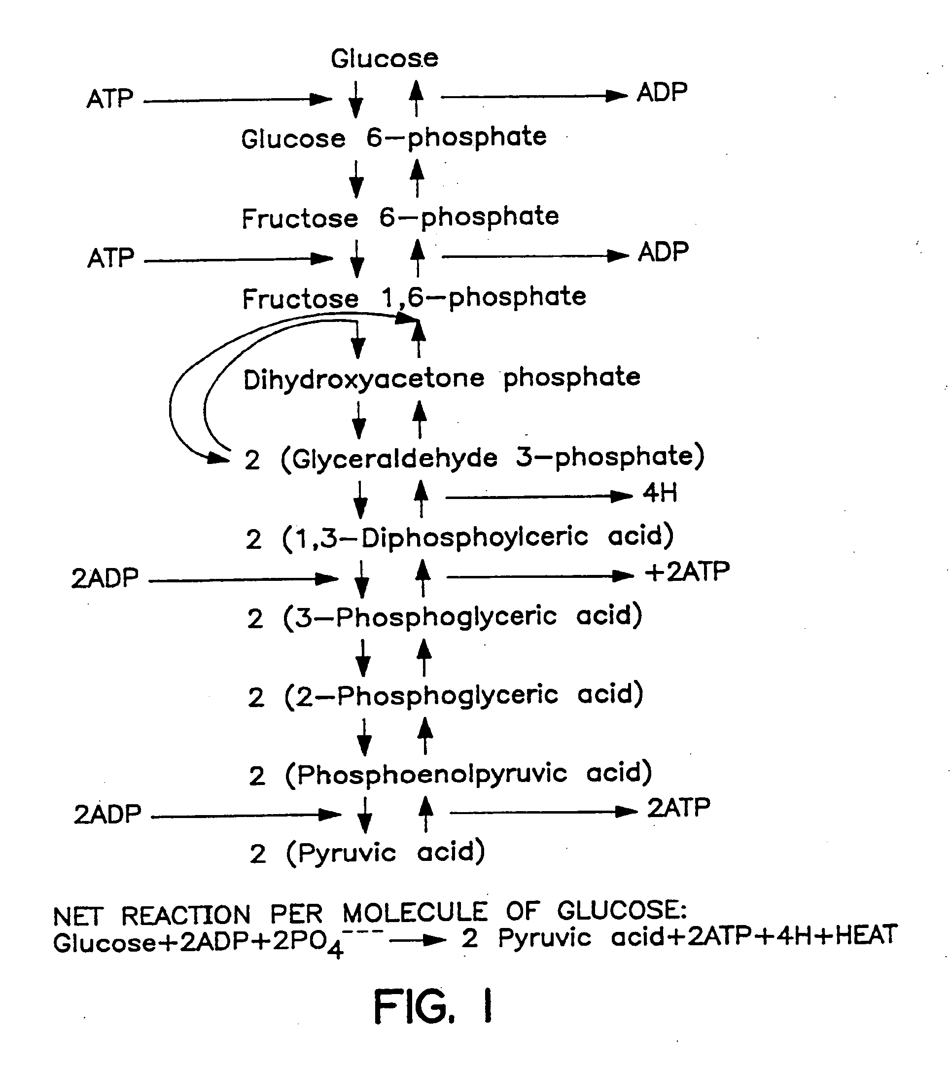 Chemically induced intracellular hyperthermia