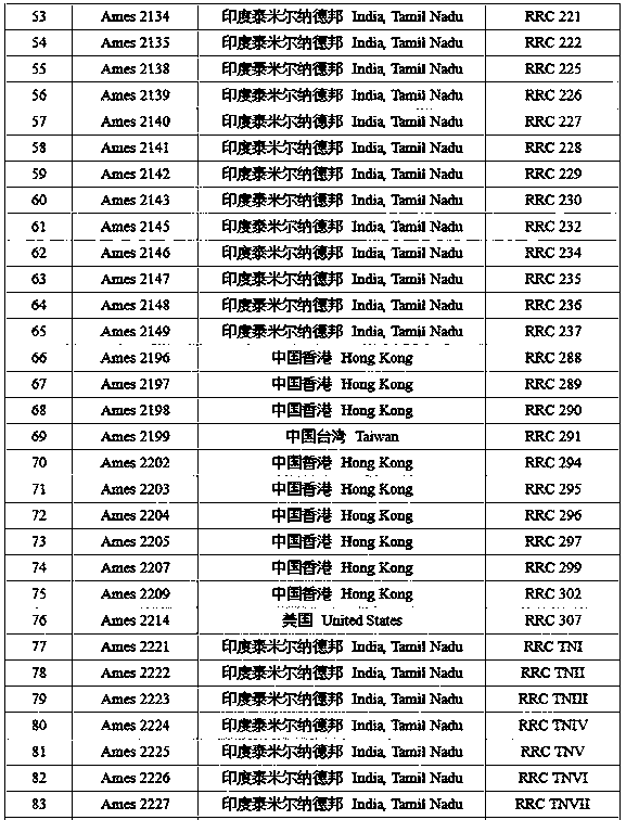 Amaranth EST-SSR marker primer and method for identifying amaranth varieties