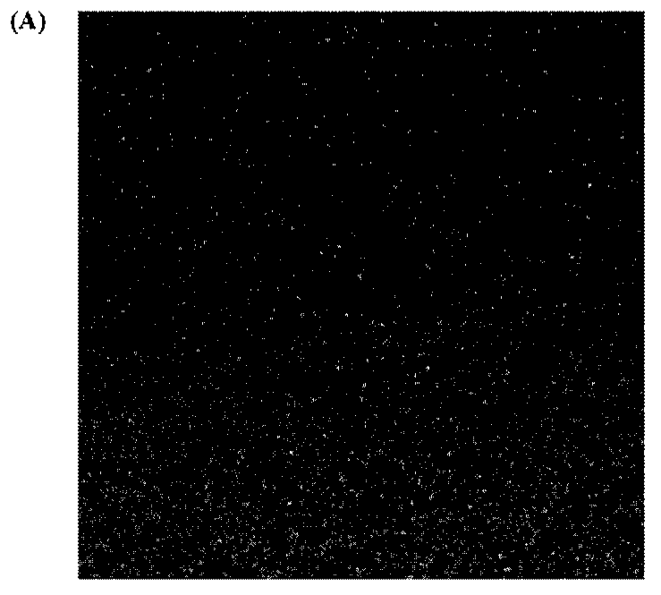 Optical deformation measurement method based on adaptive mesh and electronic equipment