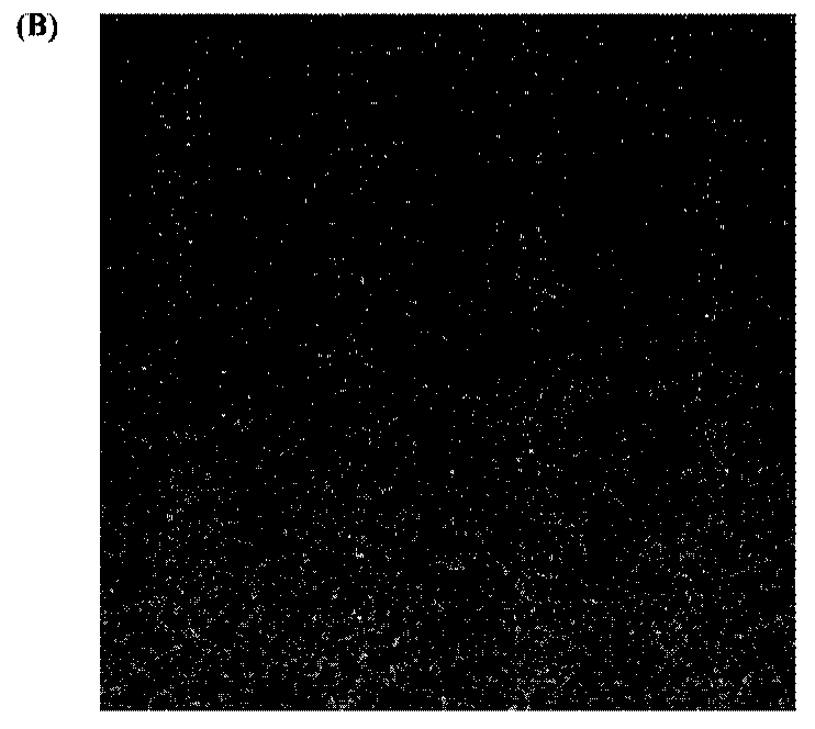 Optical deformation measurement method based on adaptive mesh and electronic equipment