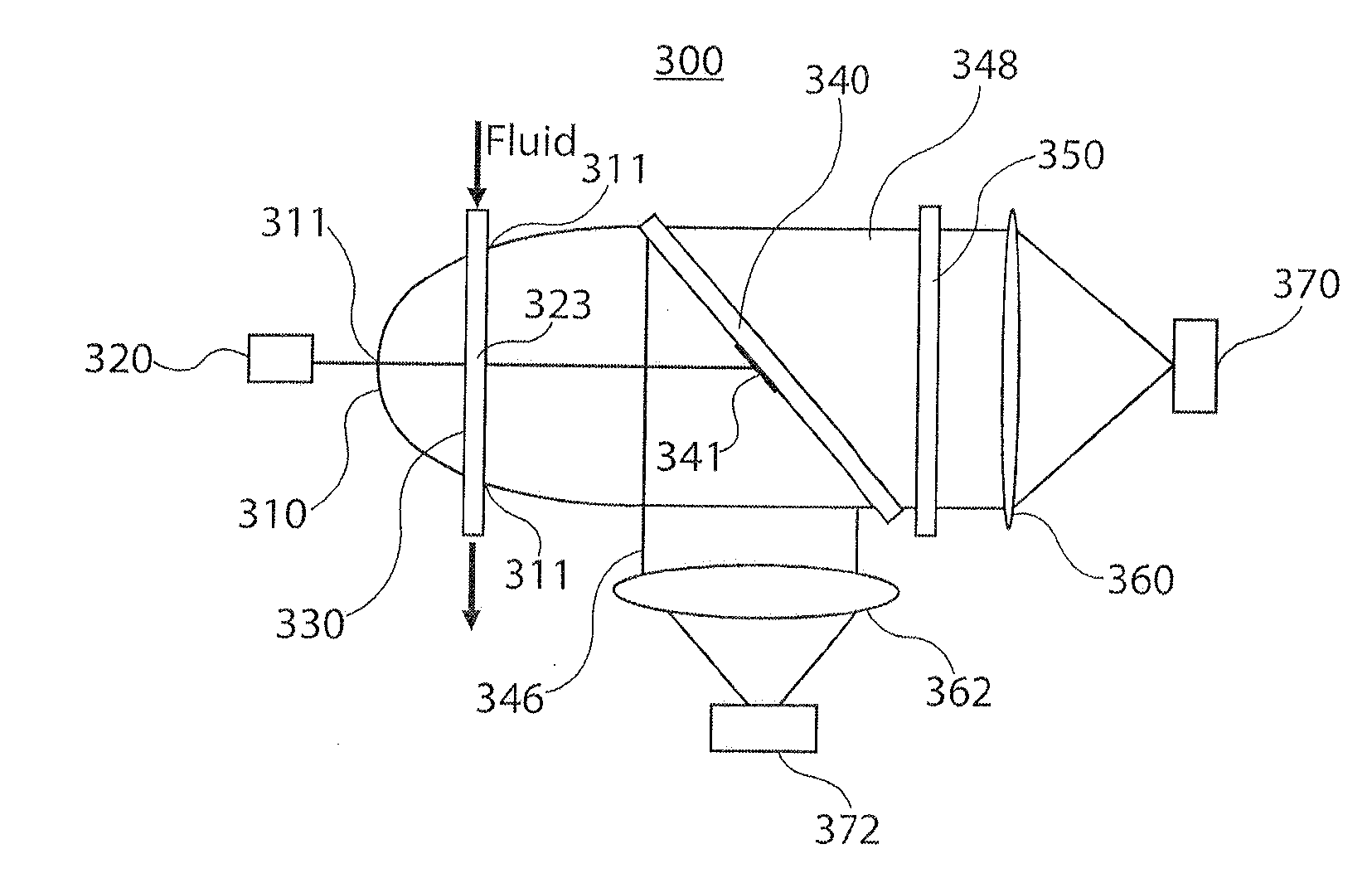 Microbial detection apparatus and method