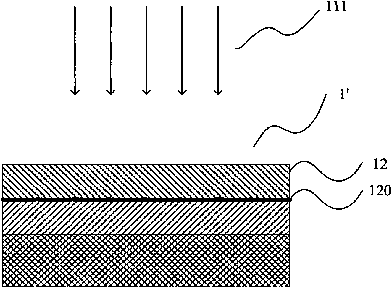 Preparation method of physical detection sample