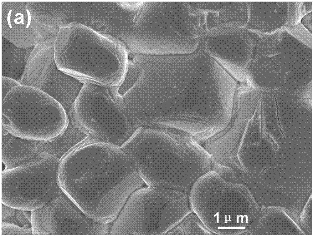 High-mechanical-strength potassium-sodium niobate based lead-free piezoelectric ceramic material, preparation method of material and application of material