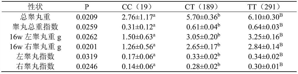 Detection method for correlation between GARNL1 gene and chicken breed testis traits and application