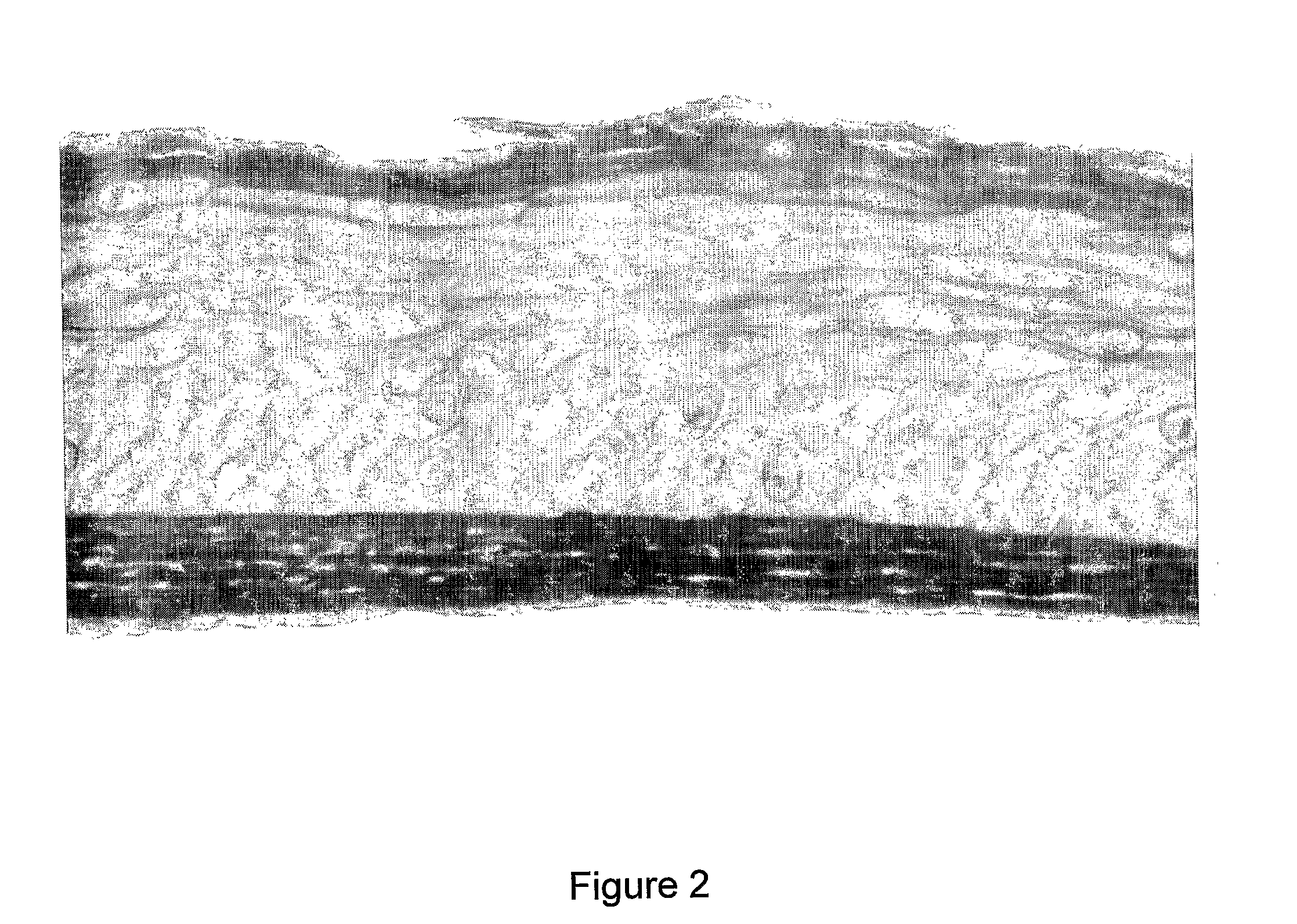 Method for the Treatment of Mammalian Skin Tissues Via Pulse Irradiation in the Presence of a Photoactive Compound