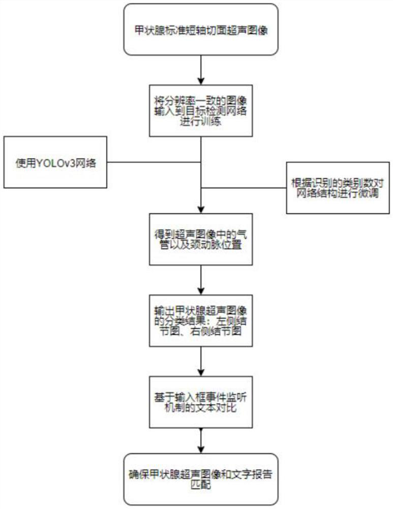 Thyroid nodule positioning and ultrasonic report error correction method based on target detection network