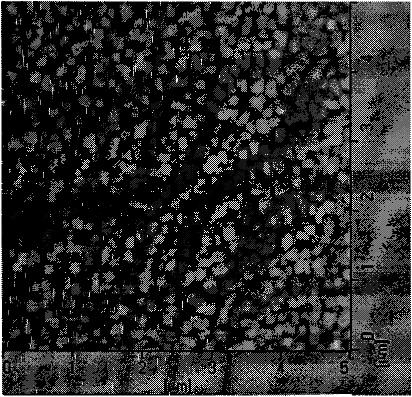 Method for growing AIN or AlGaN film