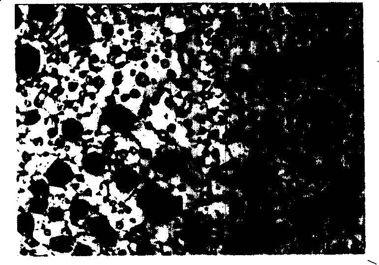 Co-burning method for oxygen sensor electrolyte and palatinum electrode