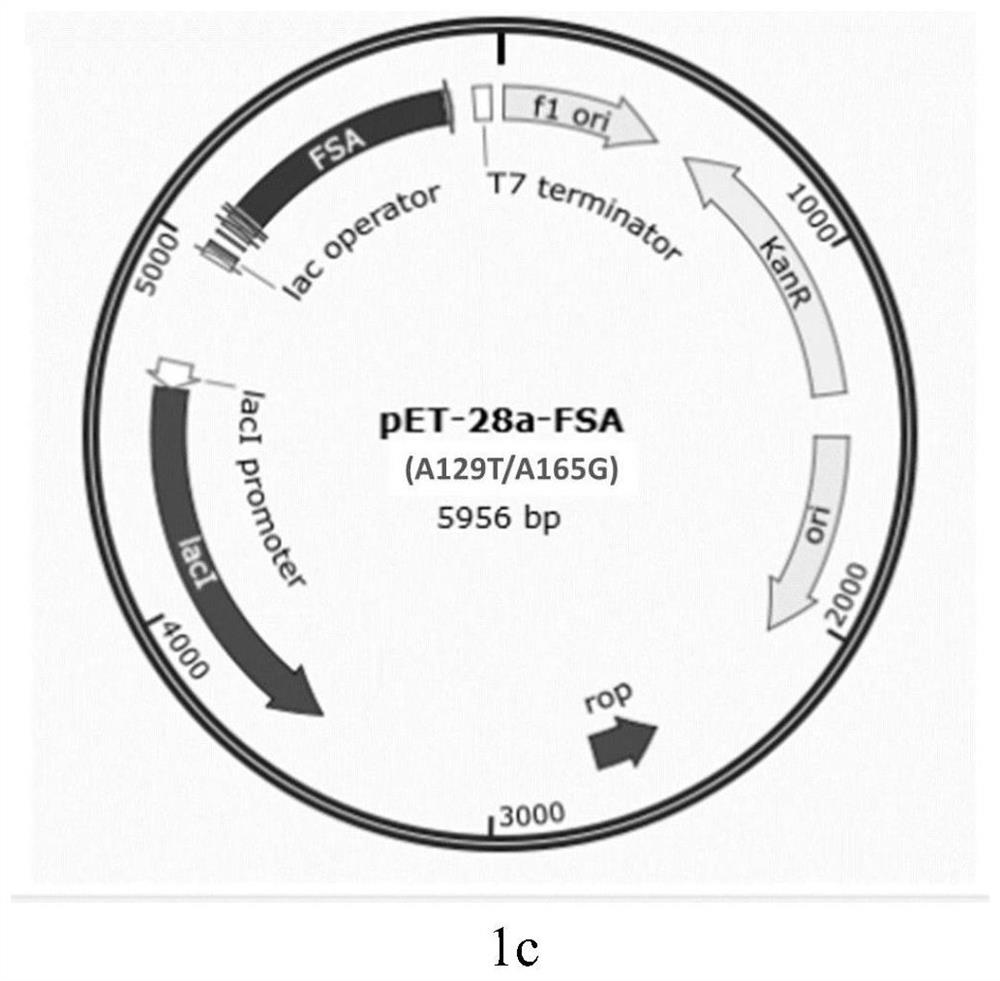 Method for biosynthesizing xylose