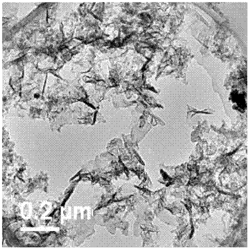 Preparation method for grapheme hydrogen storage electrode