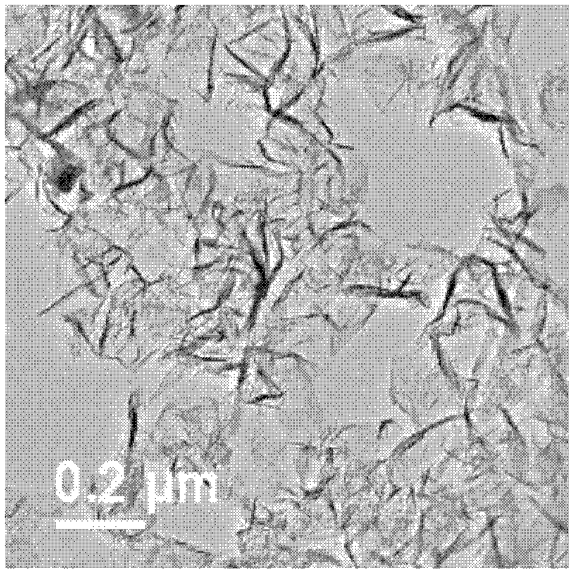 Preparation method for grapheme hydrogen storage electrode