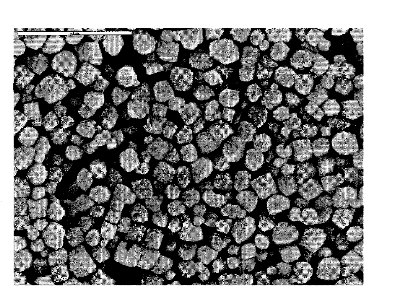 Nano-beta molecular sieve with low Si/Al ratio and preparation method thereof