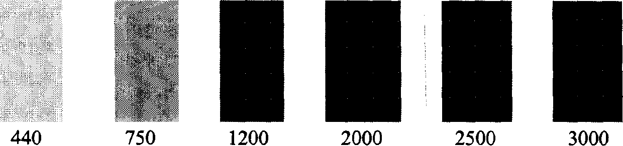 Nitrate and nitrite rapid testing paper and use thereof