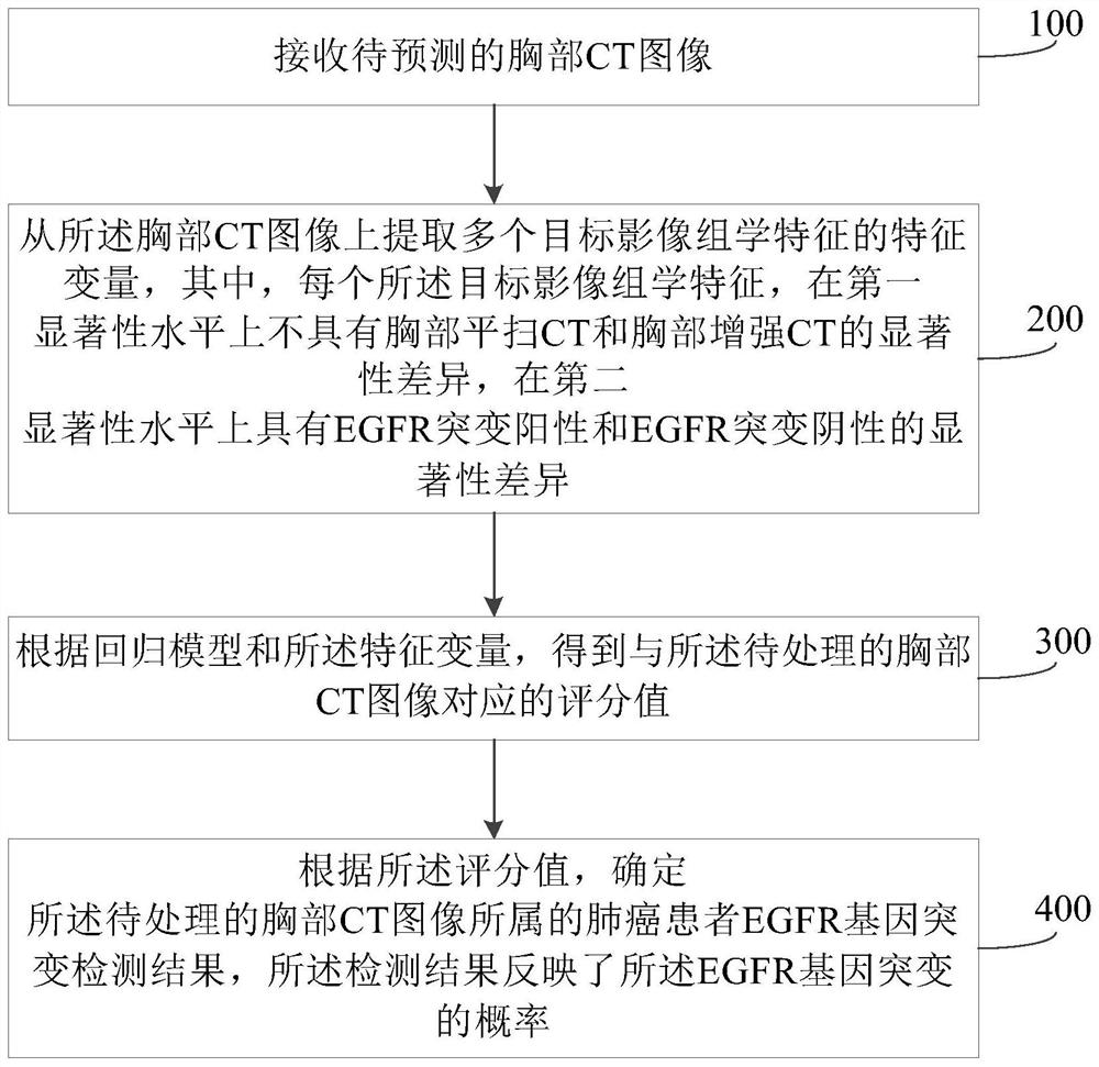 EGFR gene mutation detection method and system based on chest CT image