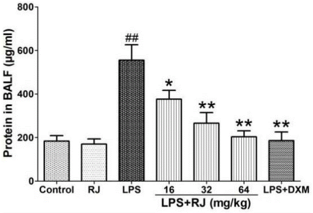 The application of blue calyx fragrant tea in the preparation of anti-acute lung injury medicine