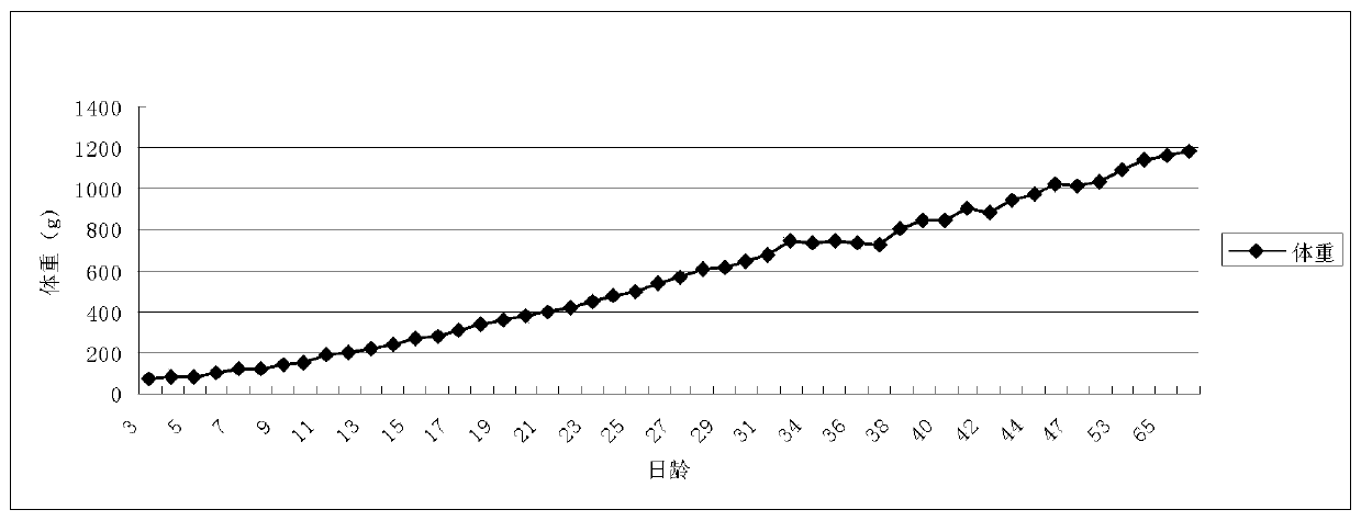 A kind of artificial assisted breeding method of hornbill