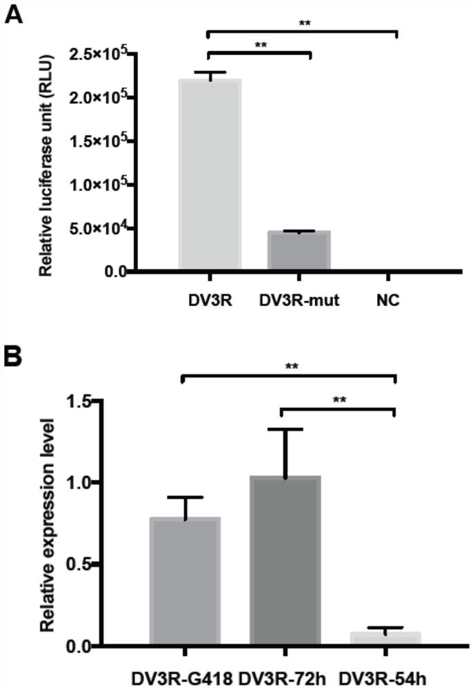 Dengue virus serum type 3 epidemic strain GZ14D3 replicon and application thereof