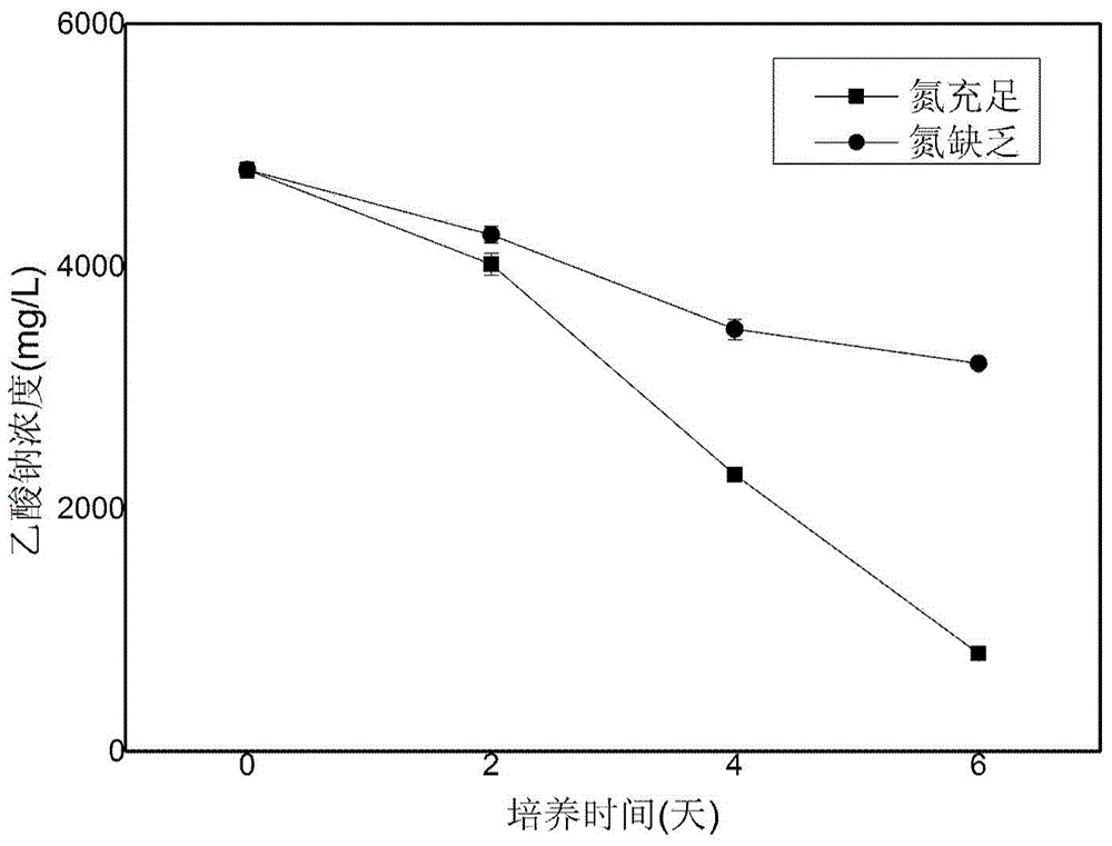 Method for improving yield of heterotrophic microalgal fatty acid with sodium acetate