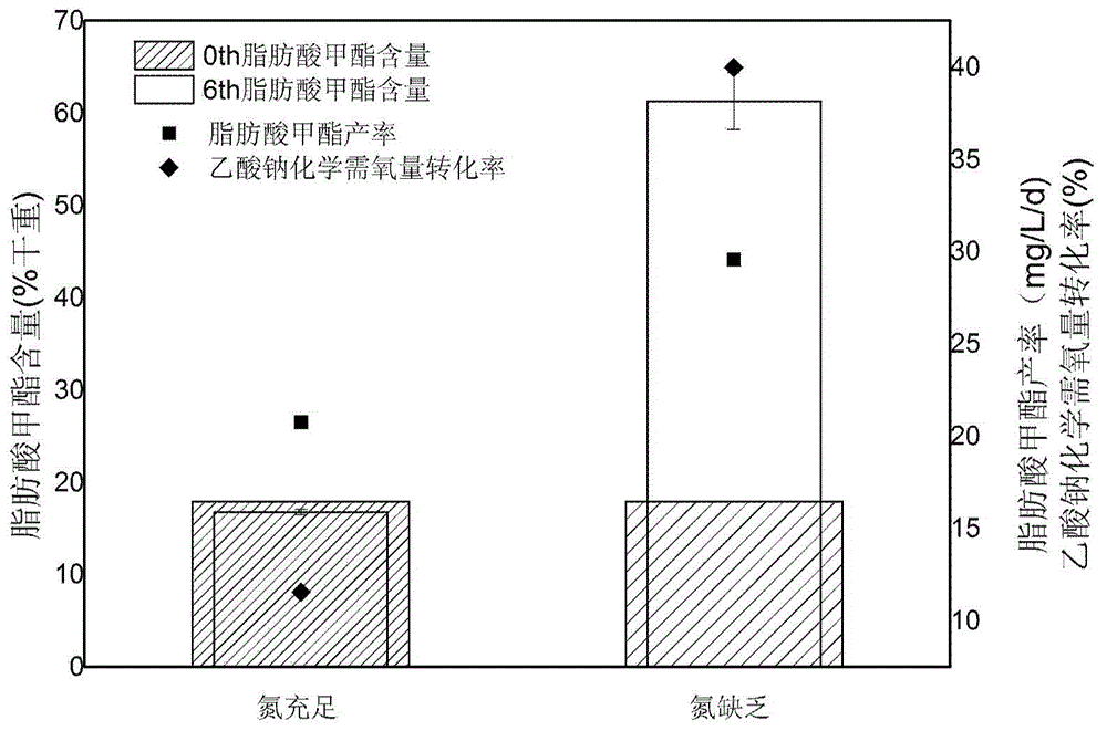 Method for improving yield of heterotrophic microalgal fatty acid with sodium acetate