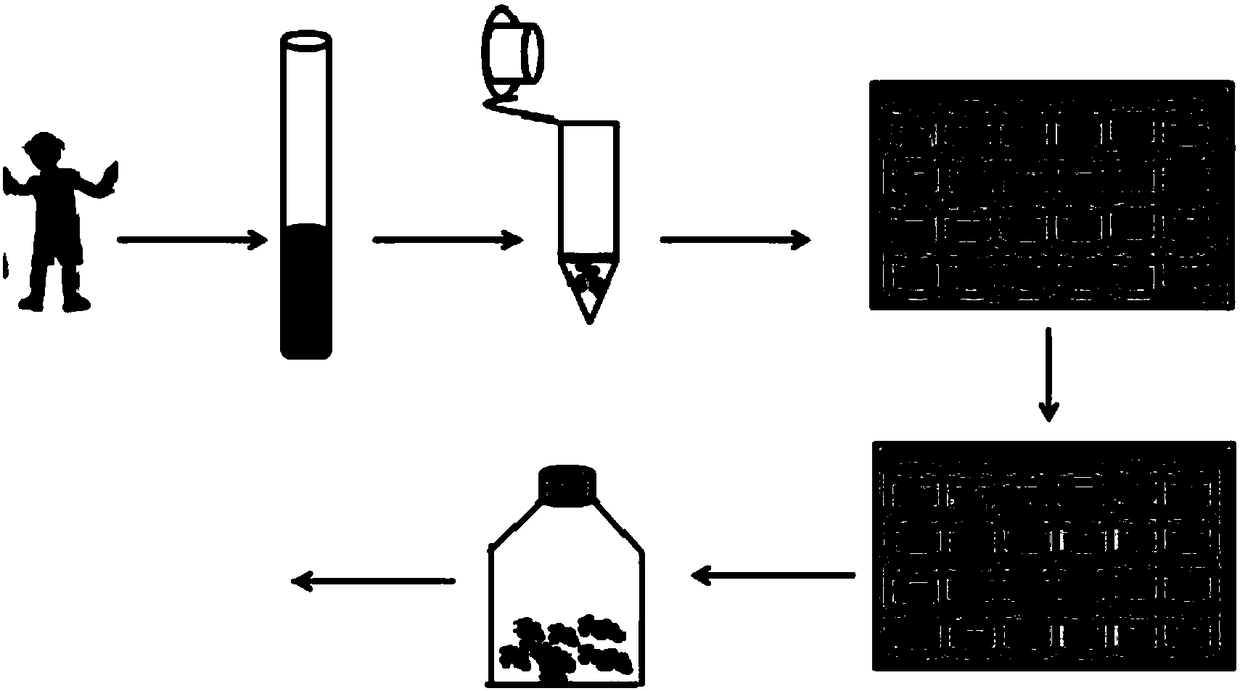 Method for establishing NK and/or T cell line