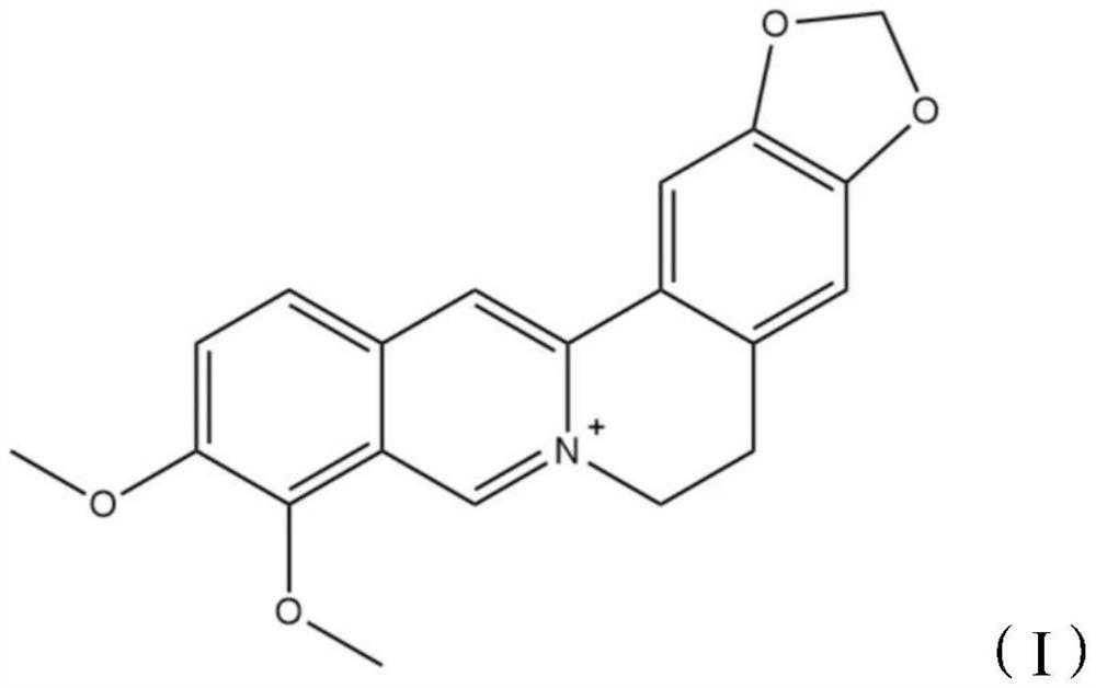 Pueraria, scutellaria baicalensis and coptis extract, preparation method, pharmaceutical preparation and application