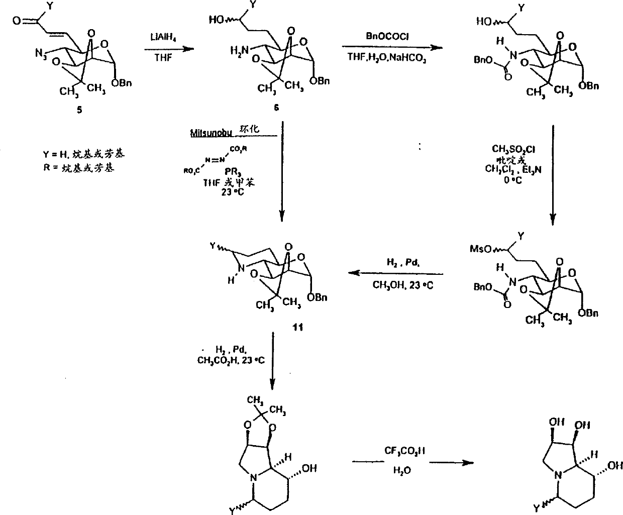 Novel 3,5 and/or 6 substituted analogues of swainsonine, process for their preparation and their use as therapeutic agents