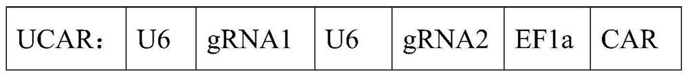 Preparation method and application of high-purity universal CAR-T