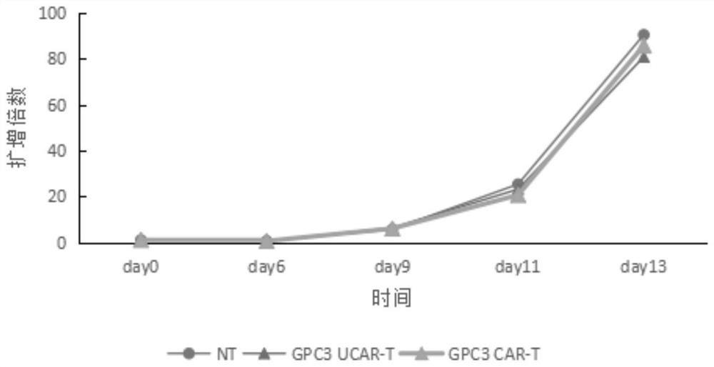 Preparation method and application of high-purity universal CAR-T