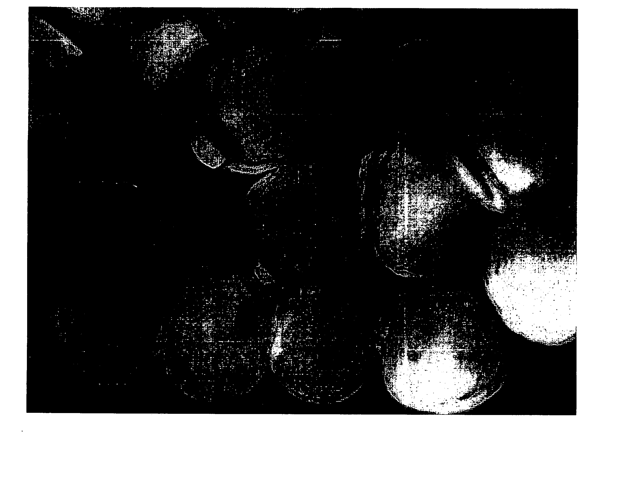 Elastomeric bicomponent fibers comprising block copolymers having high flow