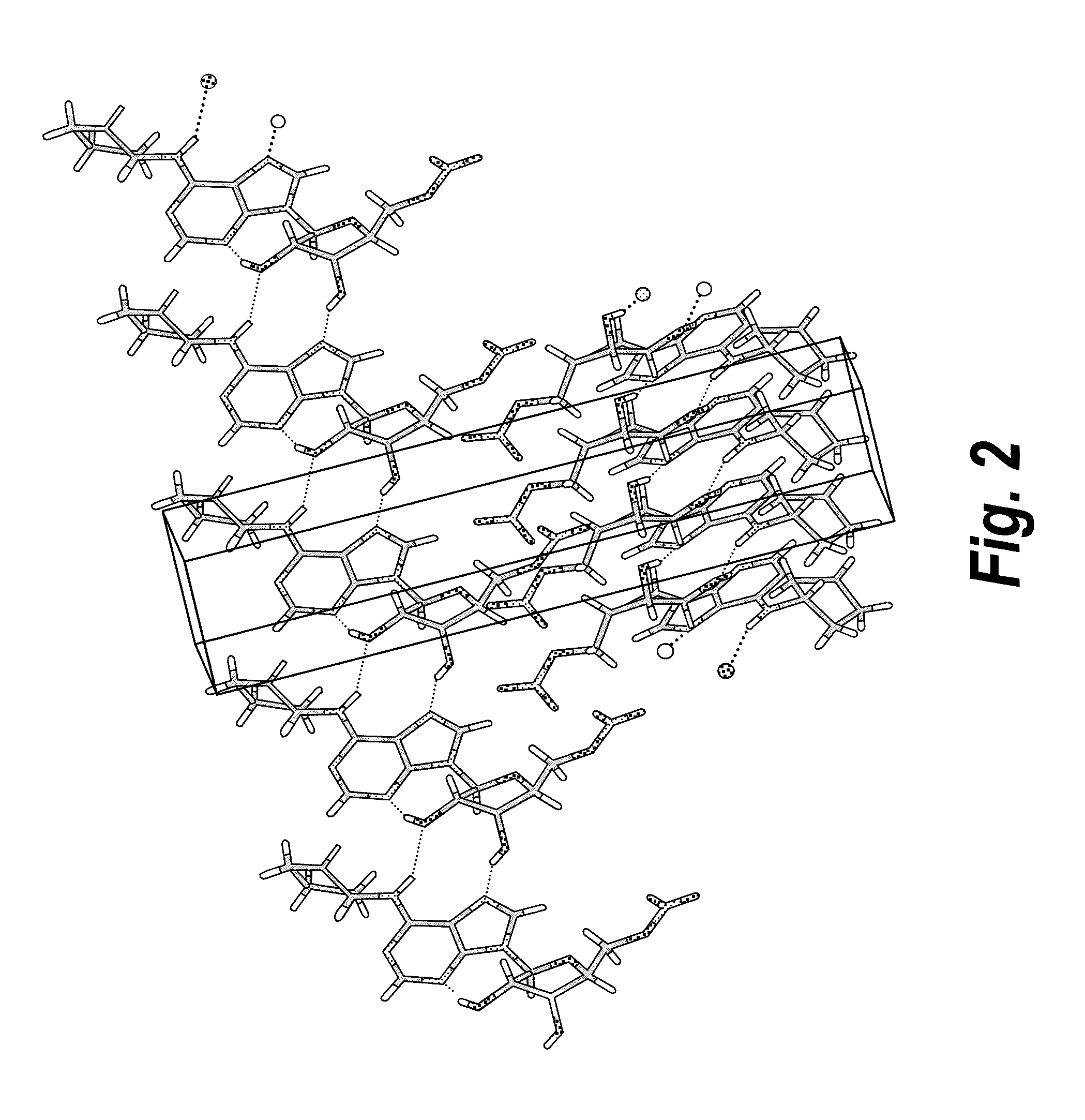 Anhydrous polymorphs of [(2r,3s,4r,5r)-5-(6-(cyclopentylamino)-9h-purin-9-yl)-3,4-dihydroxytetrahydrofuran-2-yl)] methyl nitrate and processes of preparation thereof