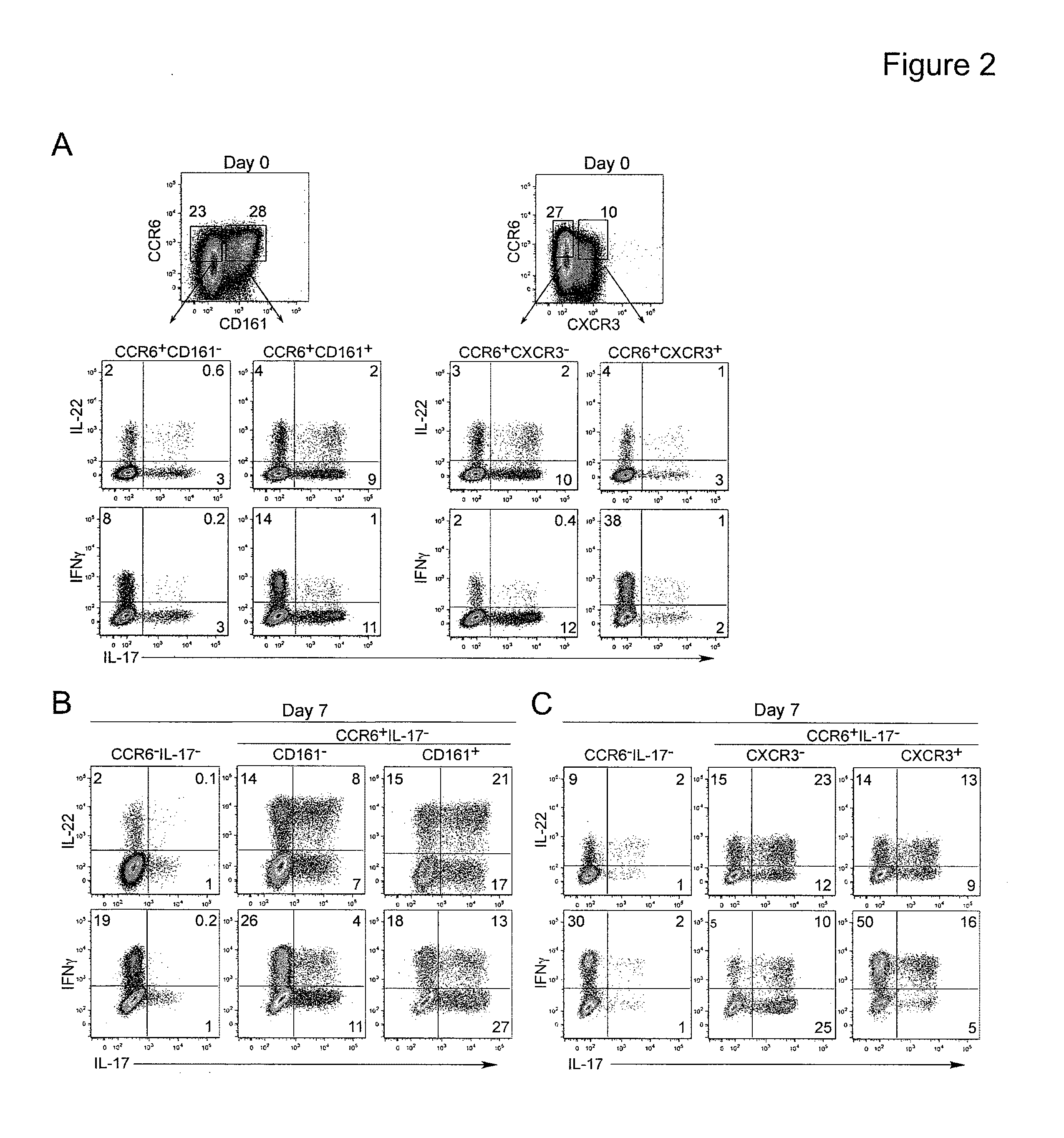 Methods for activating t cells