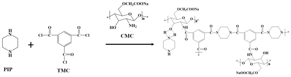 Method for preparing gas separation composite membrane through interfacial polymerization by adding carboxymethyl chitosan