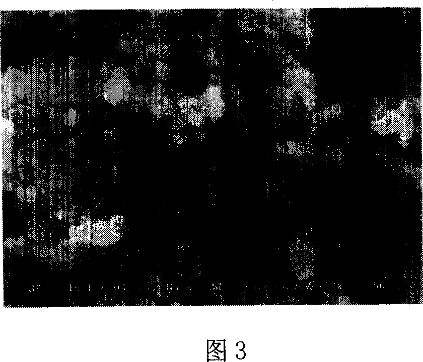 Method for producing anode active material containing lithium, magnesium compound oxide