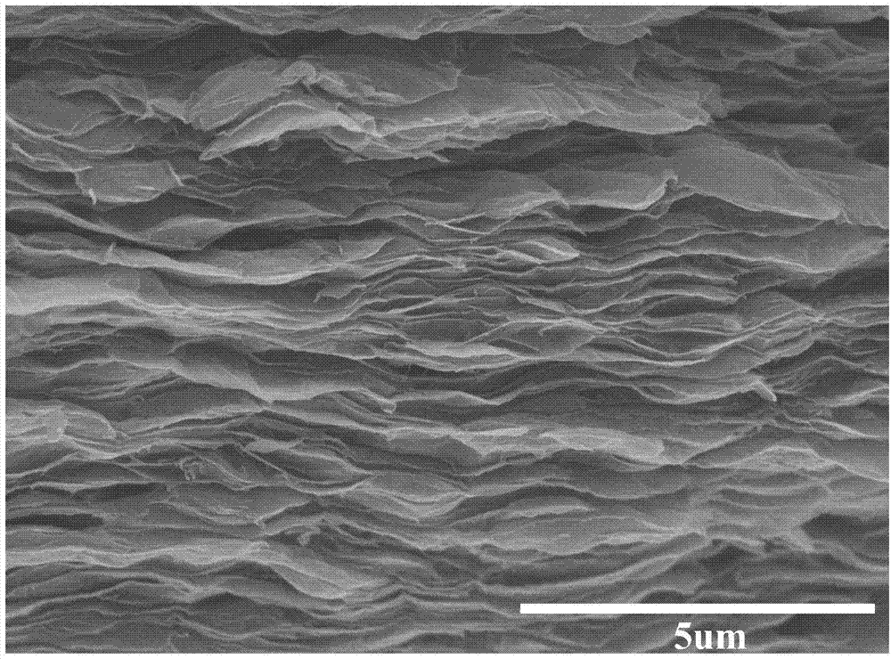 Grapheme-based composite film using bacterium as template and preparation method and application thereof