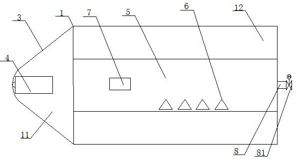 Pipe cleaning and descaling device and descaling method