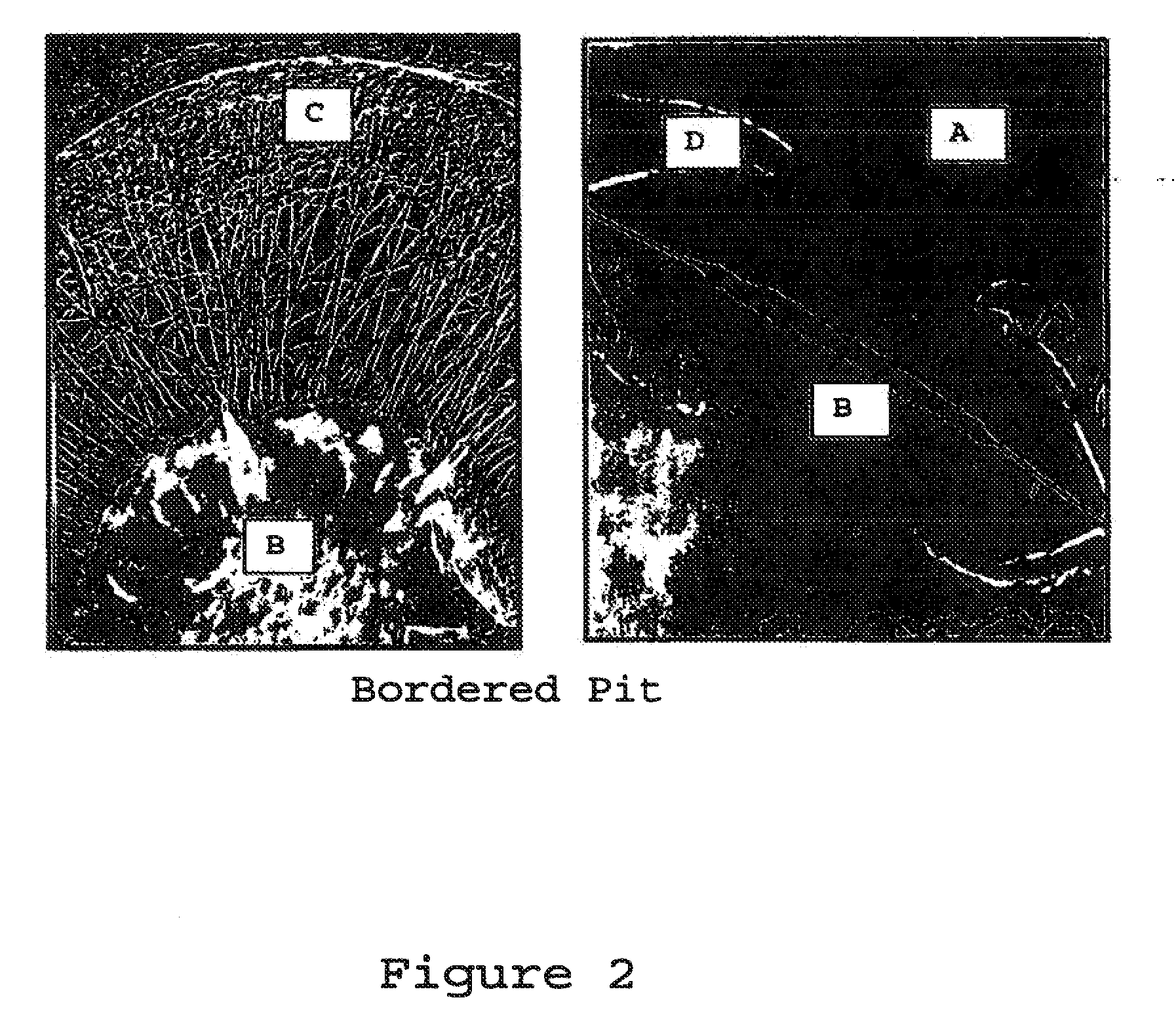 Compositions and methods for treating cellulose-based materials with micronized additives