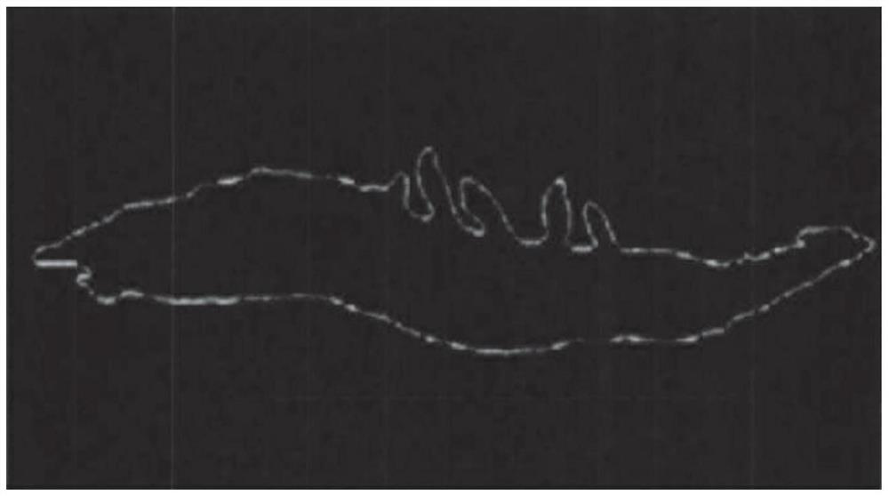 Recognition method and device for analyzing starvation degree of penaeus vannamei boone based on underwater imaging