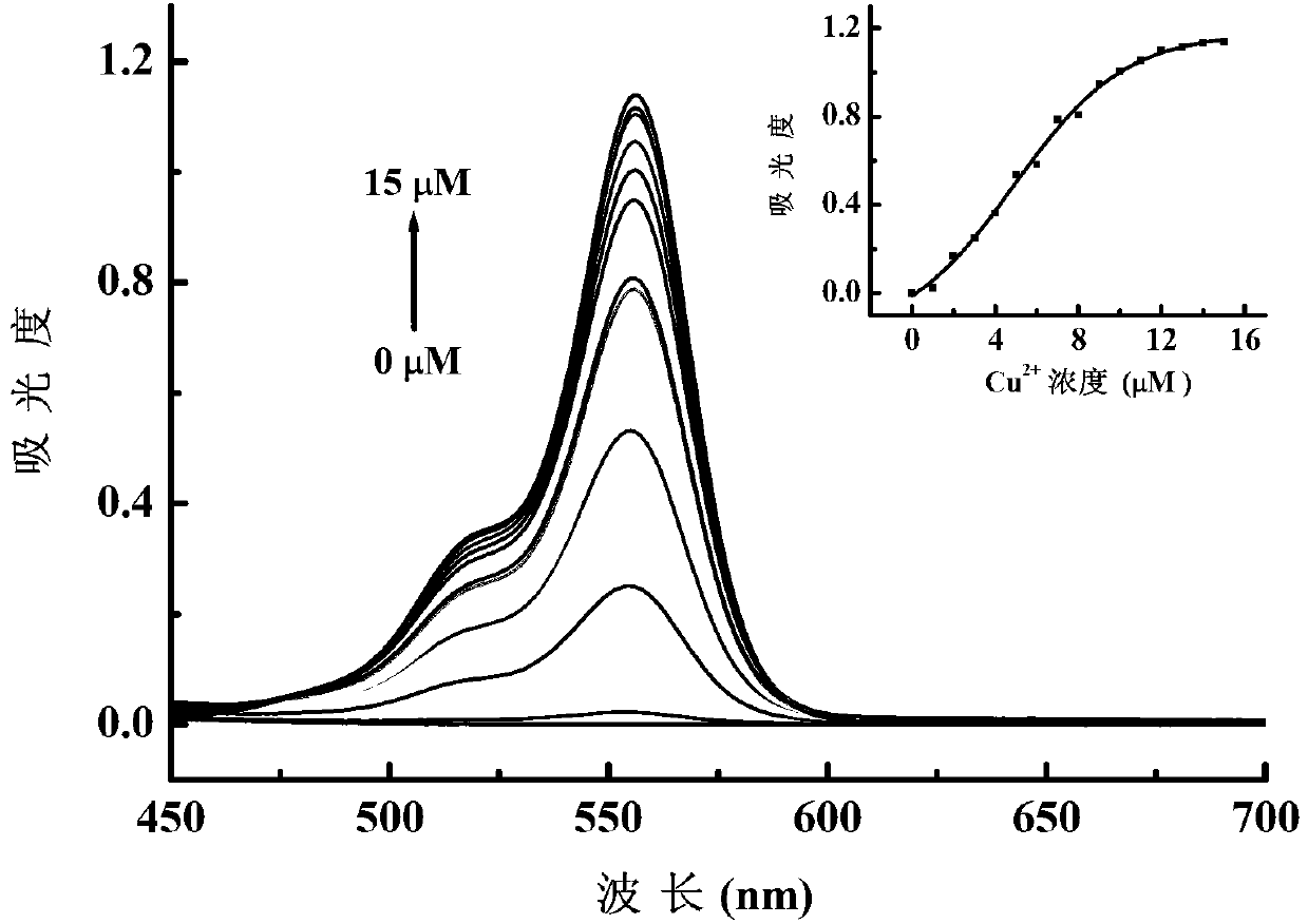 N-(2,4-dinitrophenyl)-rhodamine B hydrazide and preparation method and application thereof