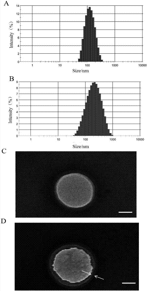 Targeting atherosclerotic focus cell membrane bionic drug-delivery system preparation method and product and application thereof