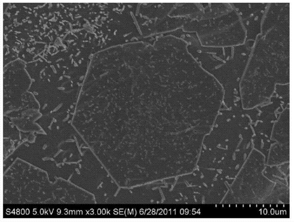 Method of preparing high-strength wear-resisting glass ceramics by utilizing iron tailings