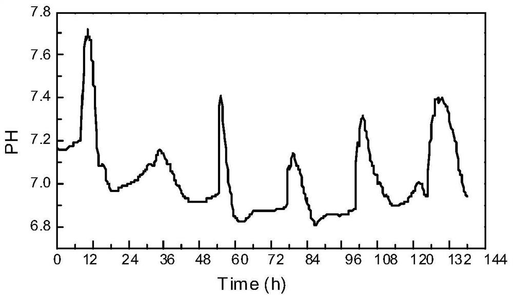 A method for treating sewage in a vertical flow constructed wetland sewage treatment system with real-time control and management of nitrification and denitrification denitrification processes