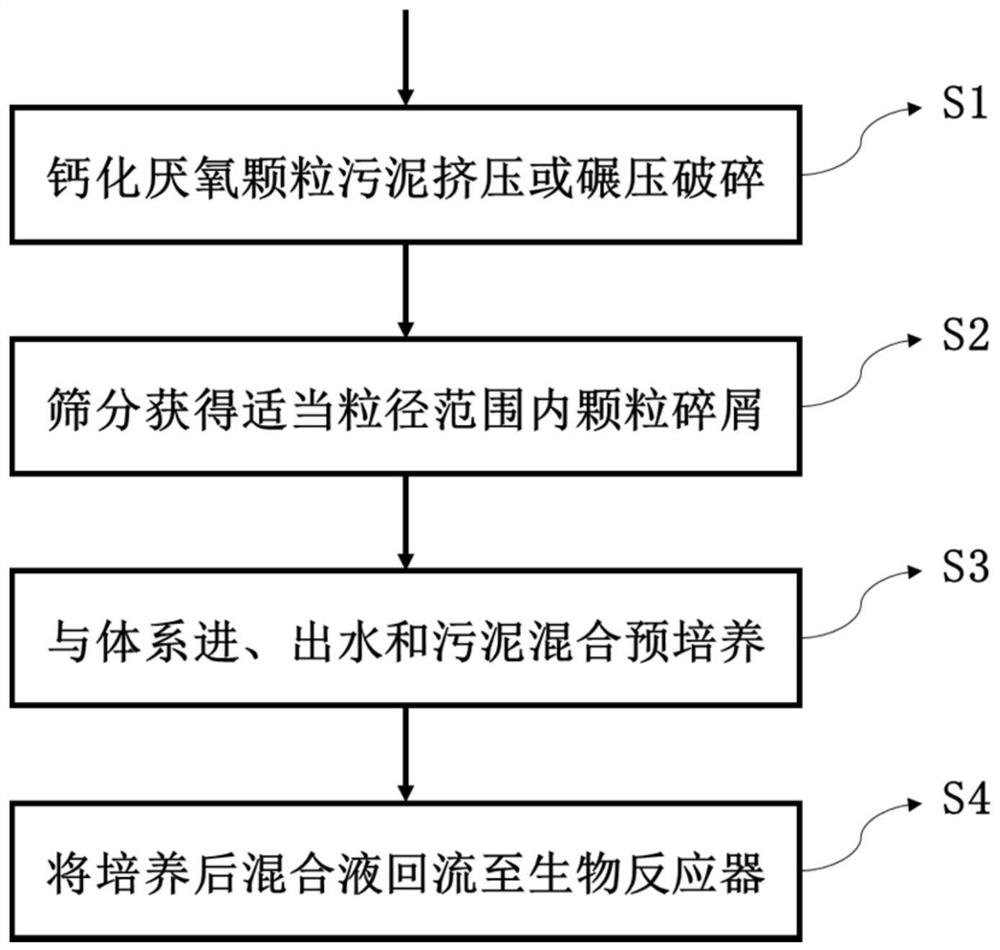 Method and system for secondary nucleation and reuse of calcified anaerobic granular sludge