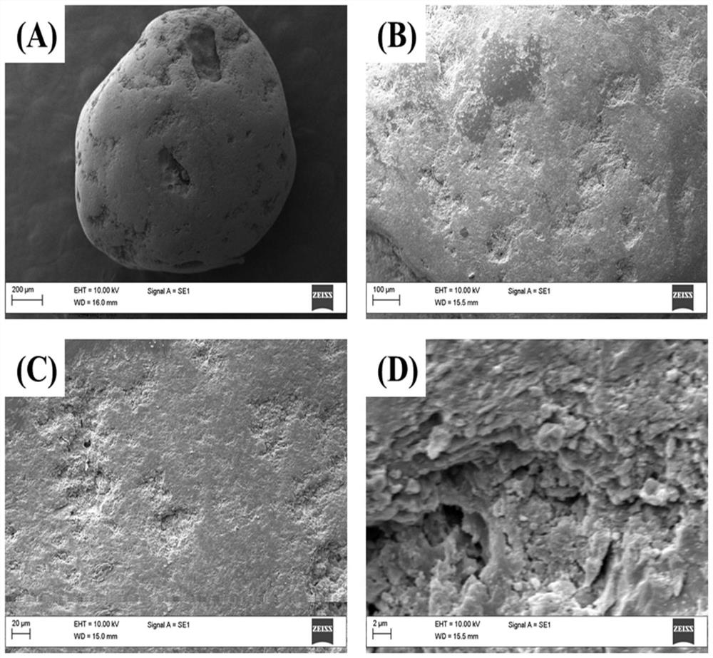 Method and system for secondary nucleation and reuse of calcified anaerobic granular sludge