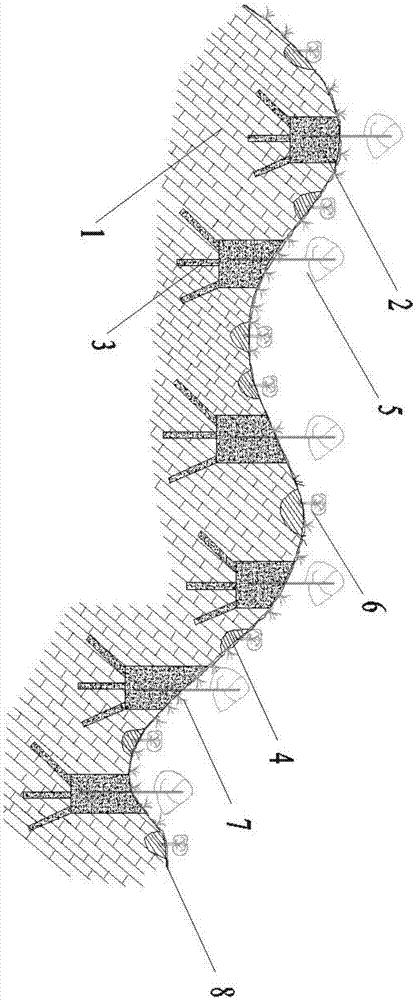 Stony desertification region vegetation ecological system and reestablishing method thereof