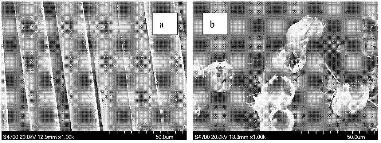 Polyimide-based carbon fiber and preparation method thereof