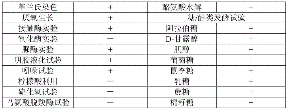 Microbial flocculant Proteus vulgaris and its application in sugarcane juice clarification