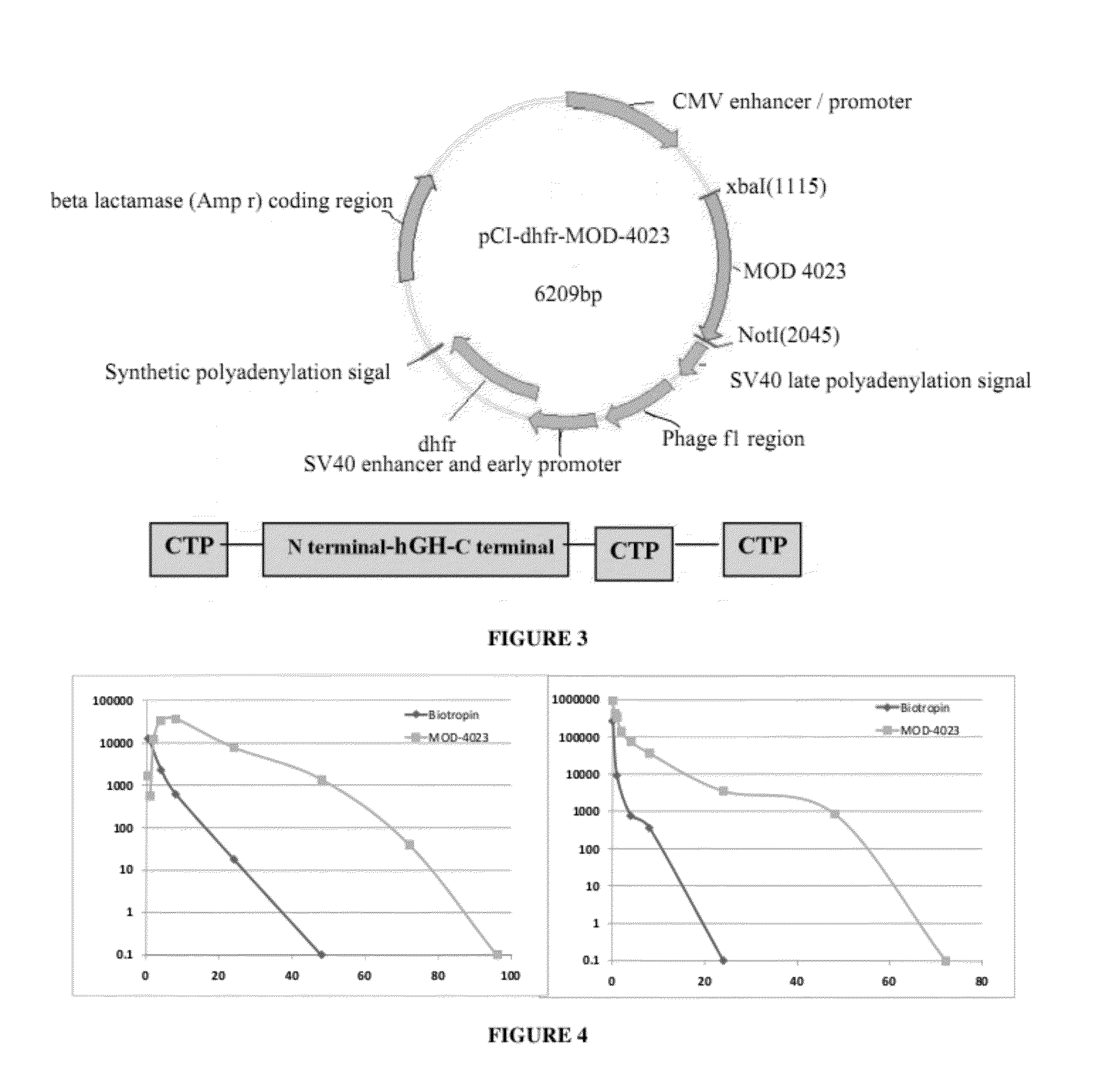 Long-acting growth hormone and methods of producing same