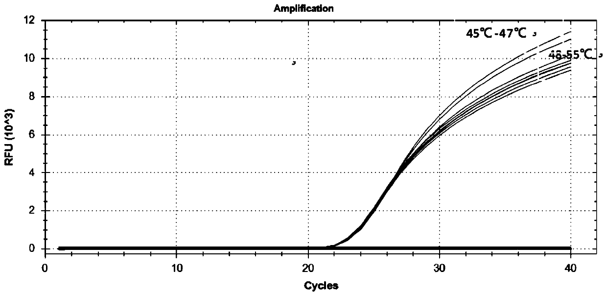 Nucleic acid composition for detecting virulence genes of helicobacter pylori, reagent and reagent kit including nucleic acid composition, and application of nucleic acid composition