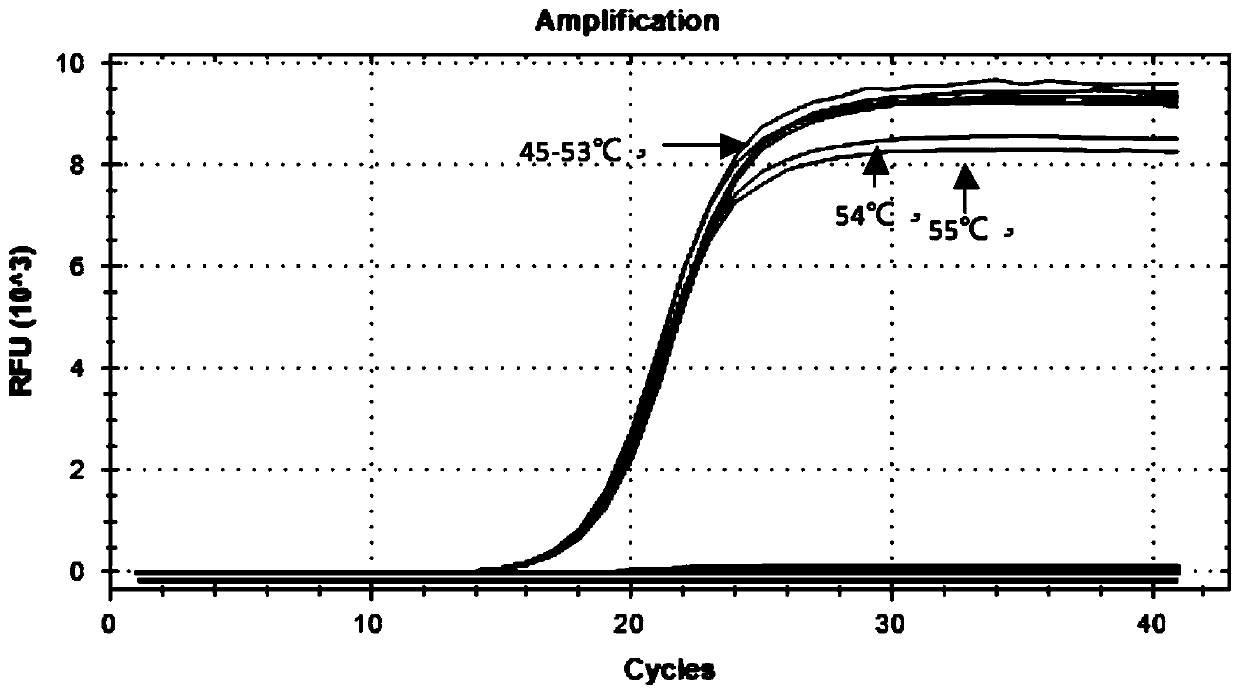 Nucleic acid composition for detecting virulence genes of helicobacter pylori, reagent and reagent kit including nucleic acid composition, and application of nucleic acid composition